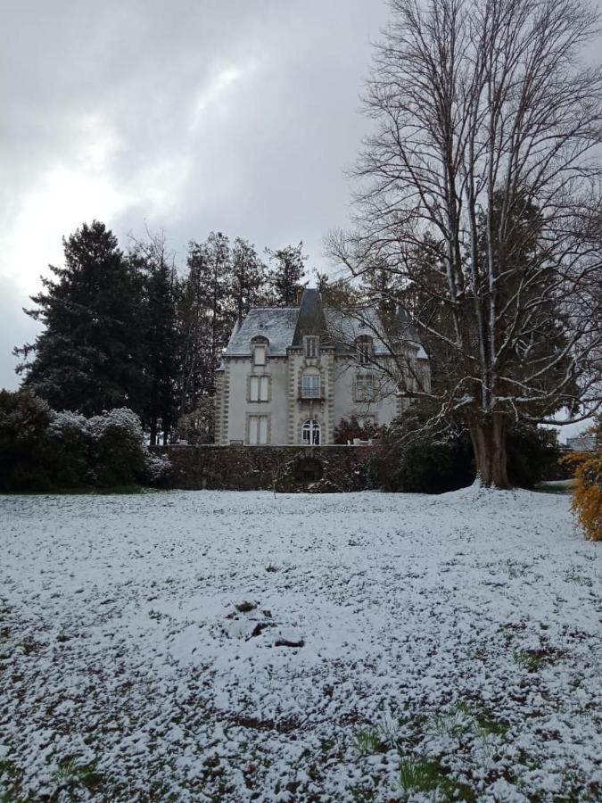 Chateau Maleplane Bed & Breakfast Saint-Leonard-de-Noblat Exterior photo