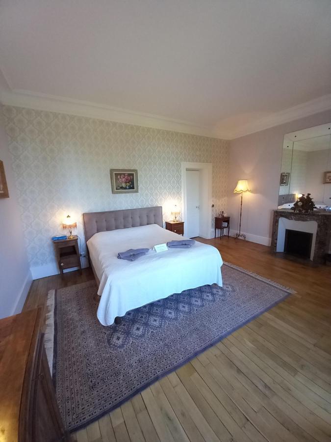 Chateau Maleplane Bed & Breakfast Saint-Leonard-de-Noblat Exterior photo