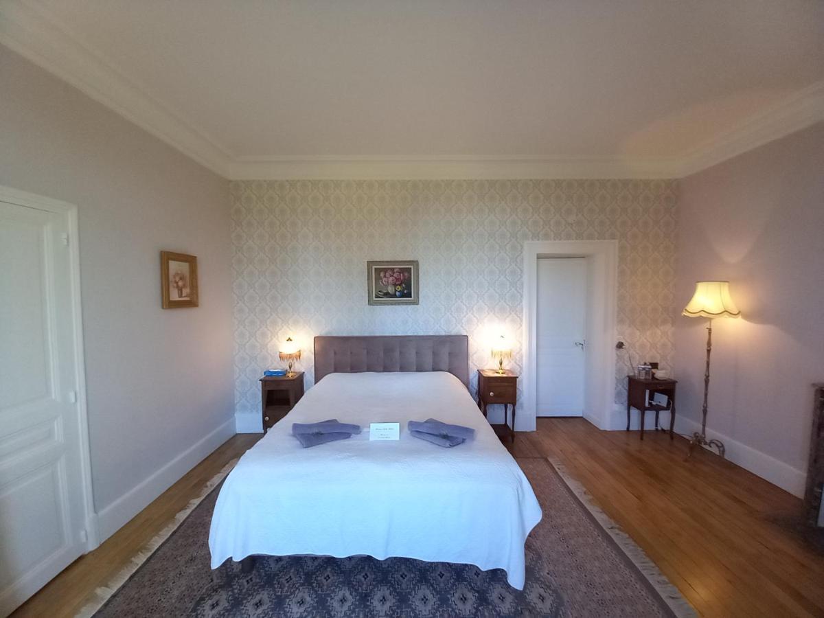 Chateau Maleplane Bed & Breakfast Saint-Leonard-de-Noblat Exterior photo