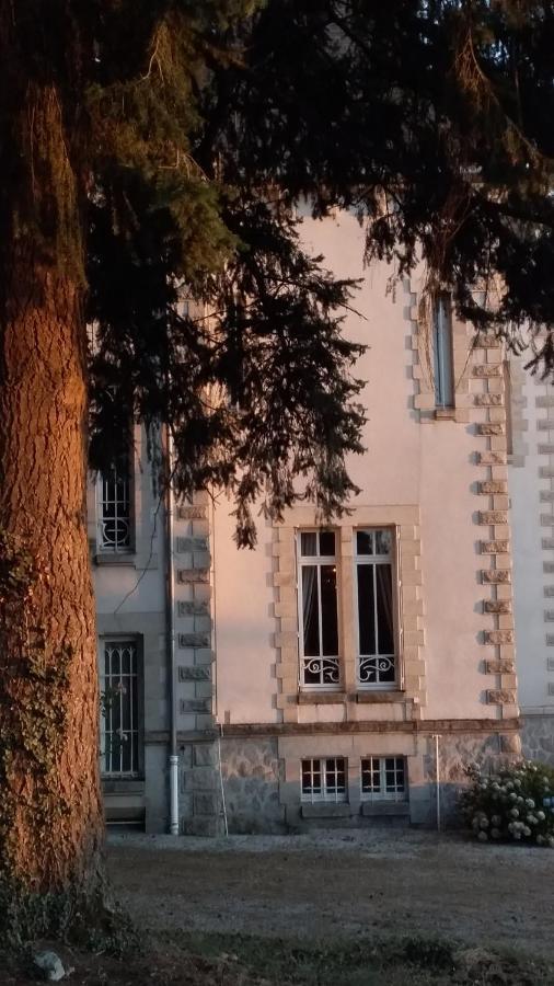 Chateau Maleplane Bed & Breakfast Saint-Leonard-de-Noblat Exterior photo